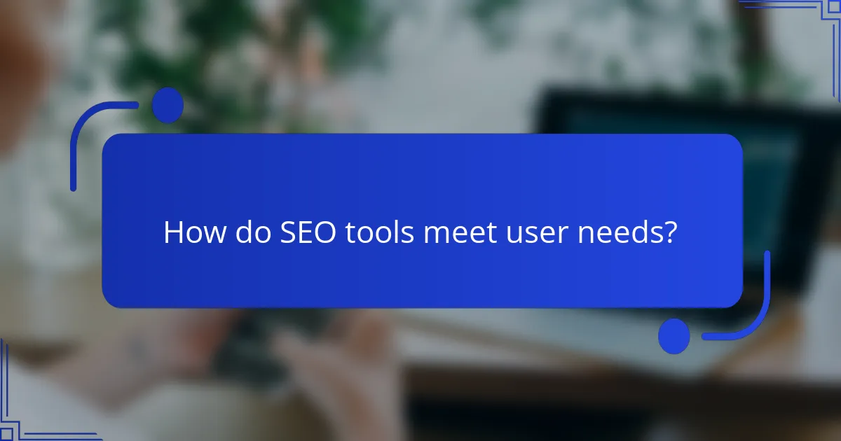 How do SEO tools meet user needs?