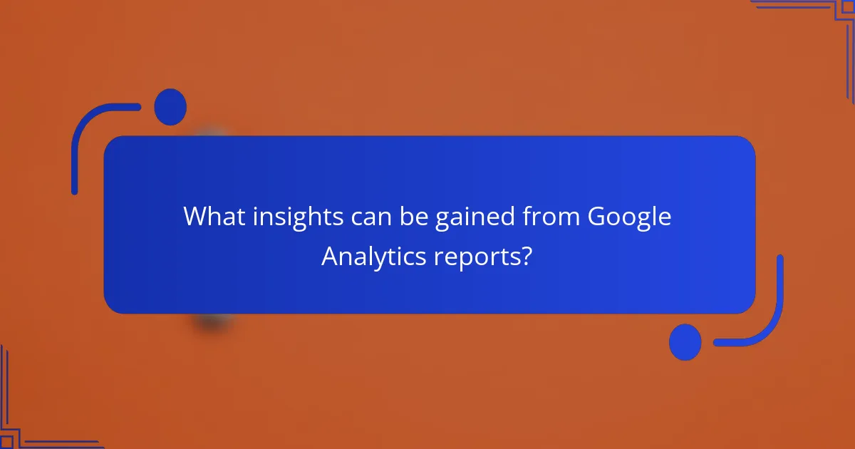 What insights can be gained from Google Analytics reports?