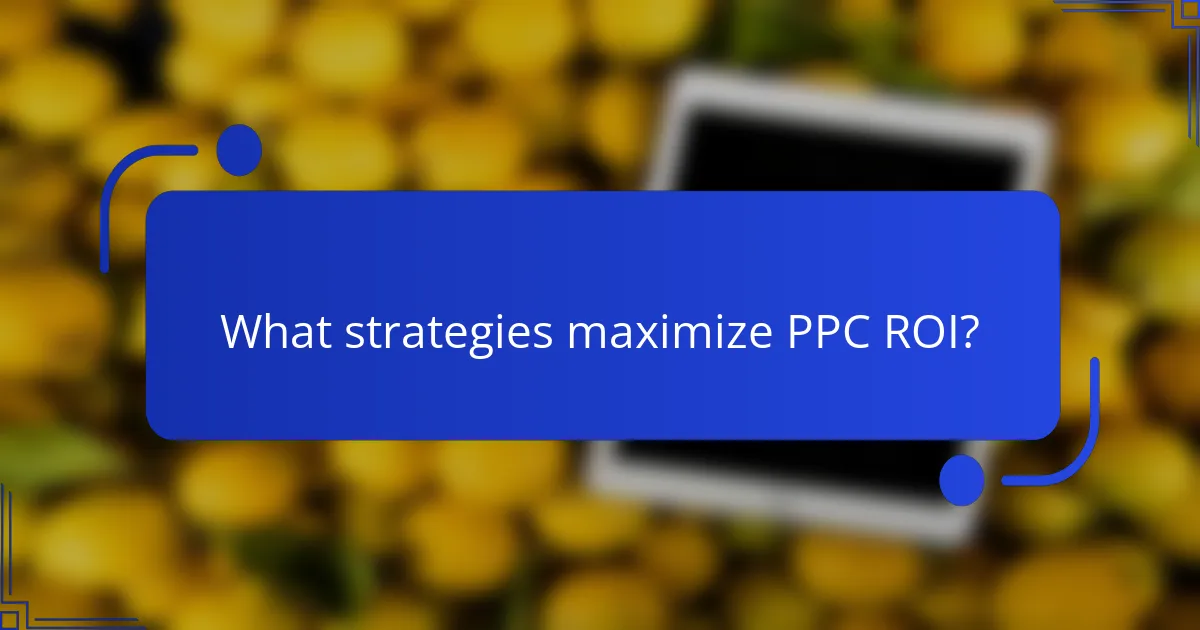 What strategies maximize PPC ROI?